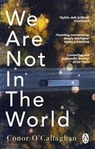 Conor O'Callaghan - We Are Not in the World