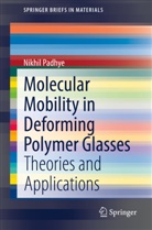 Nikhil Padhye - Molecular Mobility in Deforming Polymer Glasses