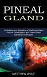 Matthew Wolf, Matthew Wolf - Pineal Gland