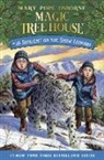 AG Ford, Mary Pope Osborne, AG Ford - Sunlight on the Snow Leopard