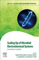 Dipak Ashok Jadhav, S. Gajalakshmi, S. (Centre for Pollution Control and Environmental Engineering Gajalakshmi, Dipak Ashok Jadhav, Dipak Ashok (Assistant Professor Jadhav, Dipak Ashok (Research Professor Jadhav... - Scaling Up of Microbial Electrochemical Systems