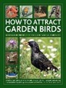 David Alderton, Alderton David, Jen Green - How to Attract Garden Birds