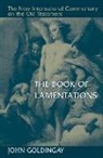 John Goldingay - The Book of Lamentations