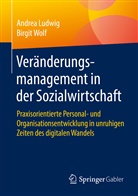 Andre Ludwig, Andrea Ludwig, Birgit Wolf - Veränderungsmanagement in der Sozialwirtschaft