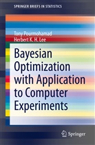 Herbert K H Lee, Herbert K. H. Lee, Herbert Lee, Ton Pourmohamad, Tony Pourmohamad - Bayesian Optimization with Application to Computer Experiments