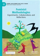 Karijn van den Berg, Constance Dupuis, Constance Dupuis et al, Jacqueline Gaybor, Wendy Harcourt, Karij van den Berg... - Feminist Methodologies