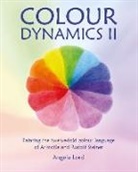 Angela Lord - Colour Dynamics II