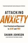 Shawn Johnson - Attacking Anxiety