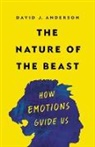 David Anderson, David J Anderson, David J. Anderson - The Nature of the Beast