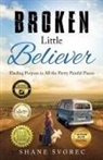 Shane Svorec - Broken Little Believer