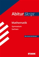 STARK Mathematik - AbiturSkript Sachsen