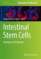 Palom Ordóñez-Morán, Paloma Ordóñez-Morán - Intestinal Stem Cells