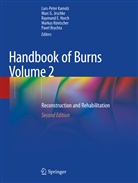 Pavel Brychta, Raymund E Horch et al, Mar G Jeschke, Marc G Jeschke, Raymund E. Horch, Marc G. Jeschke... - Handbook of Burns Volume 2
