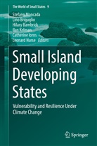 Hilary Bambrick, Hilary Bambrick et al, Lin Briguglio, Lino Briguglio, Catherine Iorns, Ilan Kelman... - Small Island Developing States