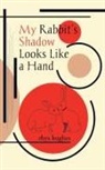 Rhys Hughes - My Rabbit's Shadow Looks Like a Hand