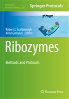 GATIGNOL, Gatignol, Anne Gatignol, Rober J Scarborough, Robert J Scarborough, Robert J Scarborough... - Ribozymes