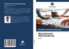 Abdulateef Olatunji Abdulrazaq - Nigerianische Steuerprüfung