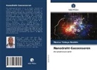Mansur Yahaya Ibrahim - Nanodraht-Gassensoren