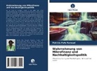 Patricia Fafa Formadi - Wahrnehmung von Mikrofinanz und Nachhaltigkeitspolitik