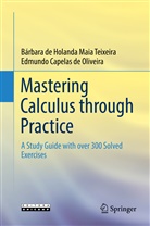 Capelas de Olive, Edmund Capelas de Oliveira, Edmundo Capelas de Oliveira, Bárbara de Teixeira, Bárbara de Holanda Mai Teixeira, Bárbara de Holanda Maia Teixeira - Mastering Calculus through Practice