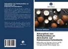 Samuel Williams - Adsorption von Methylenblau an Aktivkohle auf Kokosnussschalenbasis