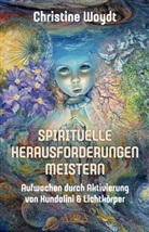 Christine Woydt - SPIRITUELLE HERAUSFORDERUNGEN MEISTERN