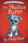 Holly Webb, Sophy Williams, Sophy Williams - The Shelter Puppy
