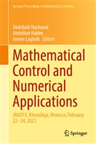Abdelila Hakim, Abdelilah Hakim, Amine Laghrib, Abdeljalil Nachaoui - Mathematical Control and Numerical Applications