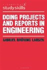 Samuel Bruning Larsen, Samuel Brüning Larsen, Samuel Bruning (Technical University of Denmark Larsen - Doing Projects and Reports in Engineering