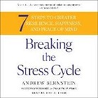 Andrew Bernstein, Andrew Bernstein - Breaking the Stress Cycle: 7 Steps to Greater Resilience, Happiness, and Peace of Mind (Hörbuch)