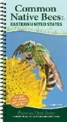 Heather Holm - Common Native Bees of the Eastern United States