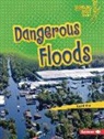 Carol Kim - Dangerous Floods