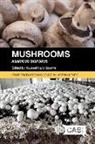 Professor Youssef Najib (Lebanese University Sassine, Youssef Najib Sassine - Mushrooms