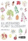 Enid Mayfield, Enid (Melbourne Mayfield - Illustrated Plant Glossary