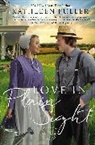 Kathleen Fuller - Love in Plain Sight