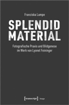 Franziska Lampe - Splendid Material - Fotografische Praxis und Bildgenese im Werk von Lyonel Feininger