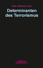 Pete Waldmann, Peter Waldmann - Determinanten des Terrorismus