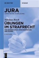 Nikolaus Bosch - Übungen im Strafrecht