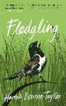 Hannah Bourne-Taylor - Fledgling