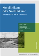 Carmen Liebermann, Jörg Orschiedt, Wolfram Schier, Harald Stäuble - Mesolithikum oder Neolithikum?