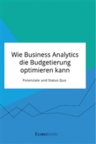 Anonym, Anonymous, Frieda von Meding, Frieda von Meding - Wie Business Analytics die Budgetierung optimieren kann. Potenziale und Status Quo