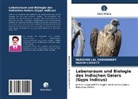 Nadim Chishty, Narayan La Choudhary, Narayan Lal Choudhary - Lebensraum und Biologie des Indischen Geiers (Gyps Indicus)