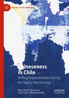 Caro Chan, Carol Chan, Mari Montt Strabucchi, Maria Montt Strabucchi, María El Ríos, María Elvira Ríos - Chineseness in Chile