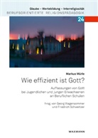 Markus Mürle - Wie effizient ist Gott?