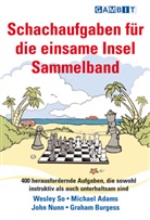Michael Adams, Graham Burgess, John Nunn, Wesley So, Wesley Adams So - Schachaufgaben Fur Die Einsame Insel Sammelband