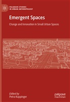 Petr Kuppinger, Petra Kuppinger - Emergent Spaces
