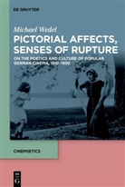 Michael Wedel - Pictorial Affects, Senses of Rupture