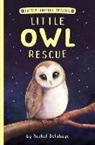 Rachel Delahaye, Artful Doodlers, Suzie Mason - Little Owl Rescue