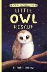 Artful Doodlers, Rachel Delahaye, Suzie Mason, Artful Doodlers, Suzie Mason - Little Owl Rescue