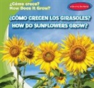 Kathleen Connors - C=mo Crecen Los Girasoles?/ How Do Sunflowers Grow?
